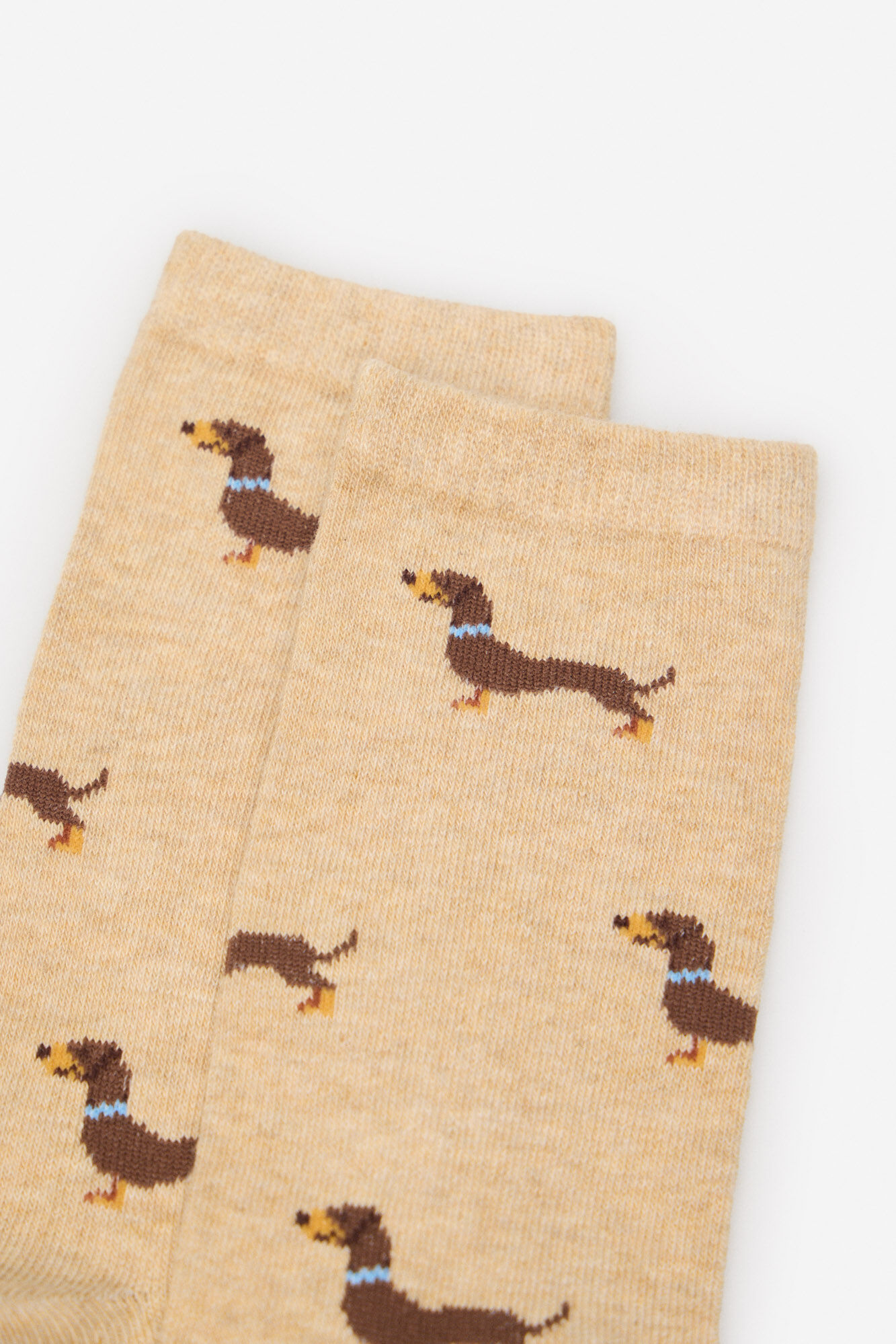 Cortefiel Dachshund meia longa