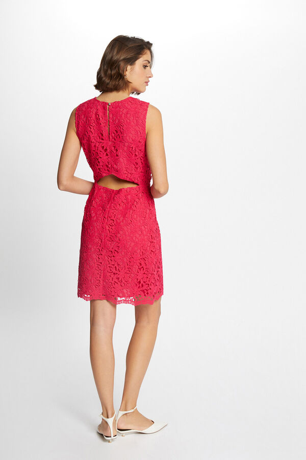 Morgan Vestido corto recto encaje Fucsia