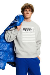 Esprit Sudadera cerrada logo materiales sostenibles Estampado gris