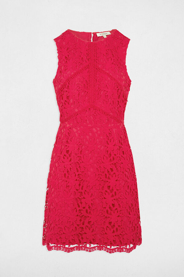 Morgan Vestido corto recto encaje Fucsia