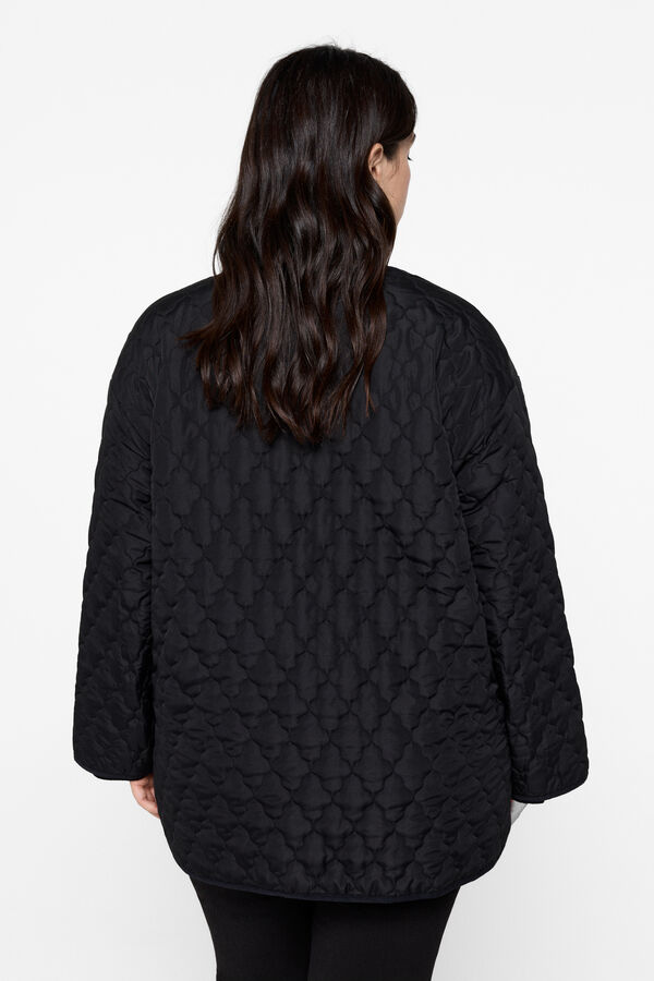 Evoked by Vila Abrigo guateado curvy Negro