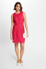 Morgan Vestido corto recto encaje Fucsia