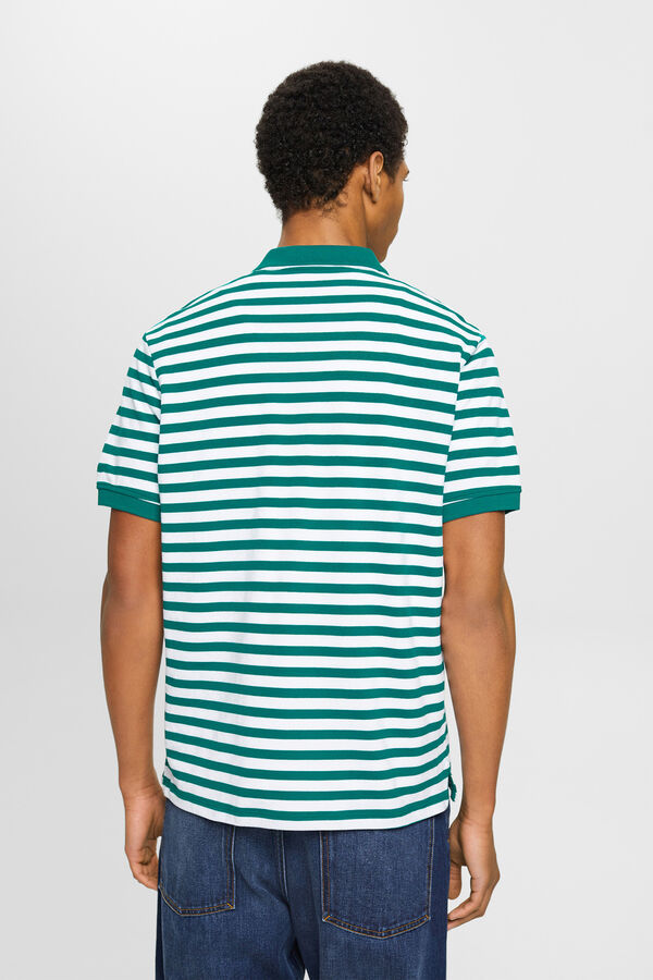 Esprit Polo básico piqué riscas algodão Verde