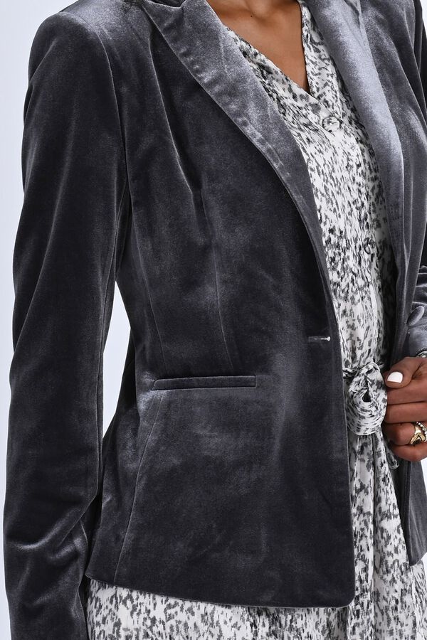 Molly Bracken Blazer de terciopelo Gris