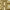 Dourado