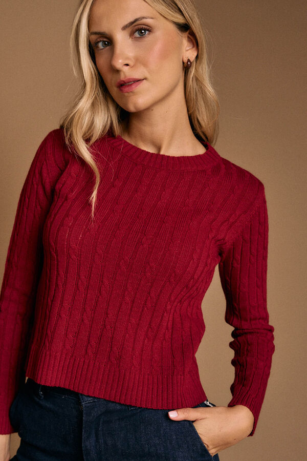 Pol&iacute;n Et Moi Top de manga manga Jasse Granada