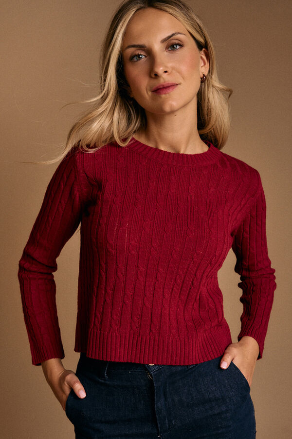 Pol&iacute;n Et Moi Top de manga manga Jasse Granada