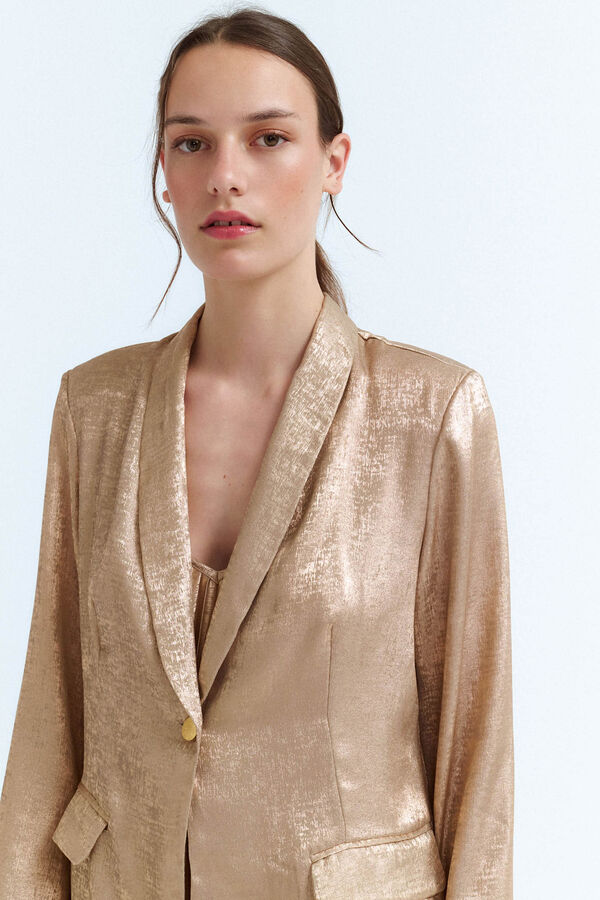 Vila Chaqueta blazer dorada Gris