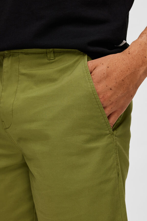 Selected Cal&ccedil;as curtas chino de algod&atilde;o org&acirc;nico. Verde