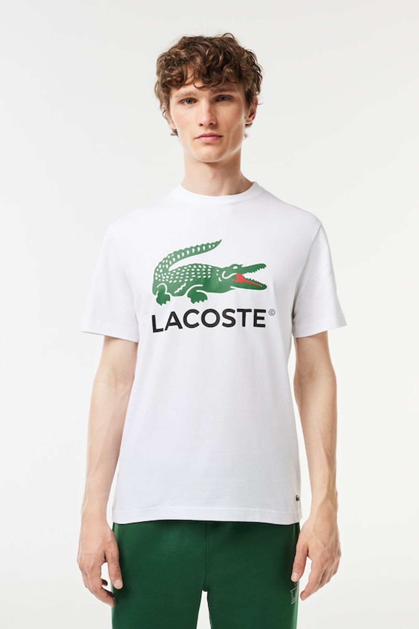 Lacoste Camiseta de algod&oacute;n con estampado Signature