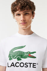 Lacoste Camiseta de algod&oacute;n con estampado Signature Blanco