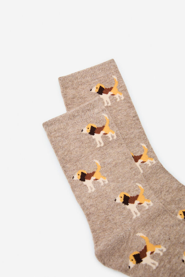 Cortefiel Meias longas Beagle Castanho