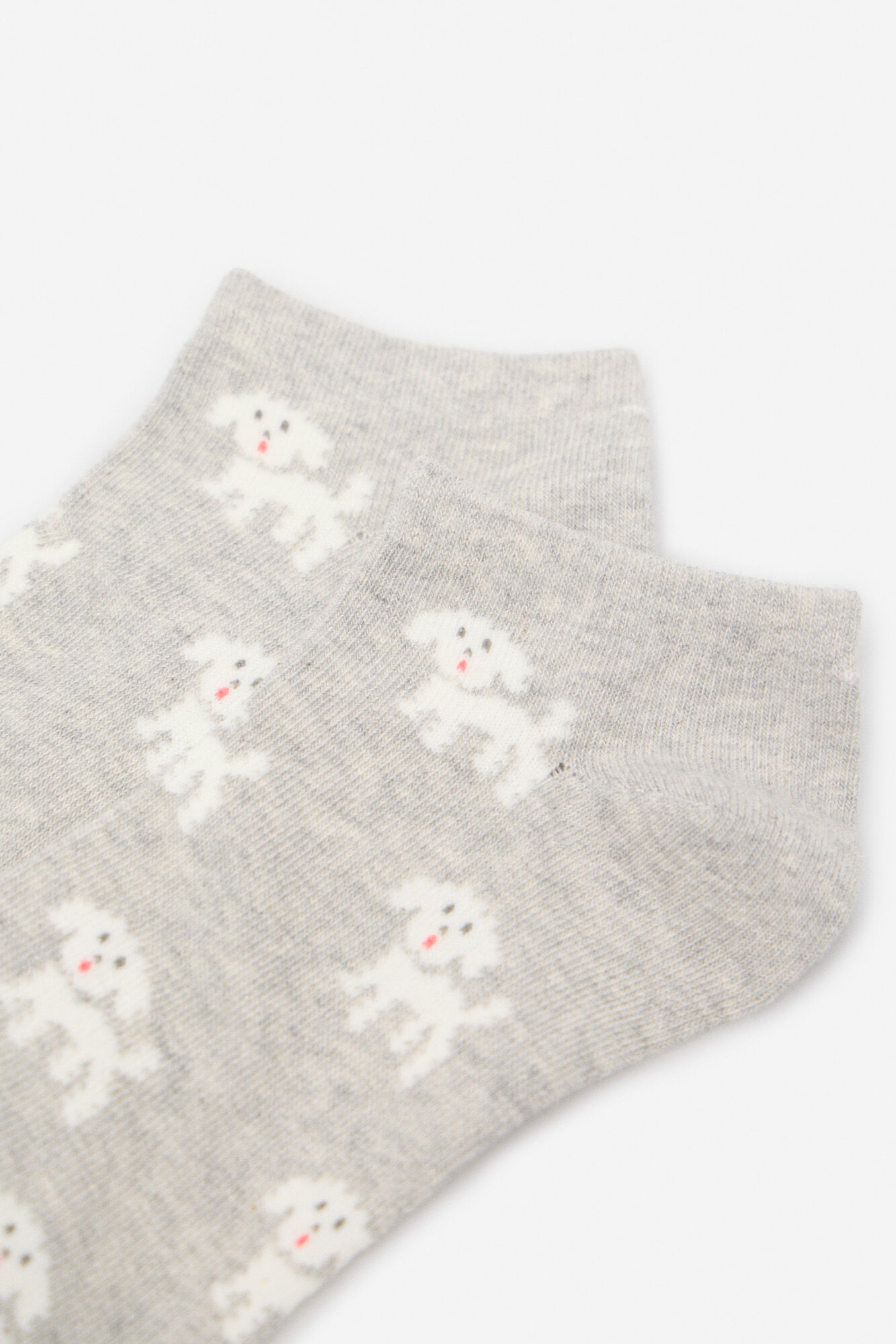 Cortefiel Meia curta para cachorro poodle