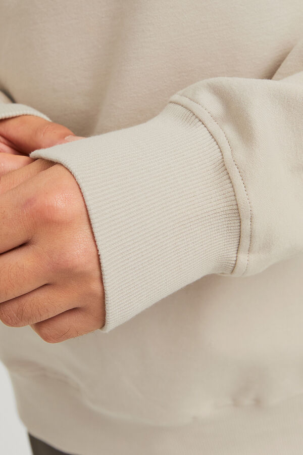 Jack & Jones Sweatshirt b&aacute;sico estampado  Ecru