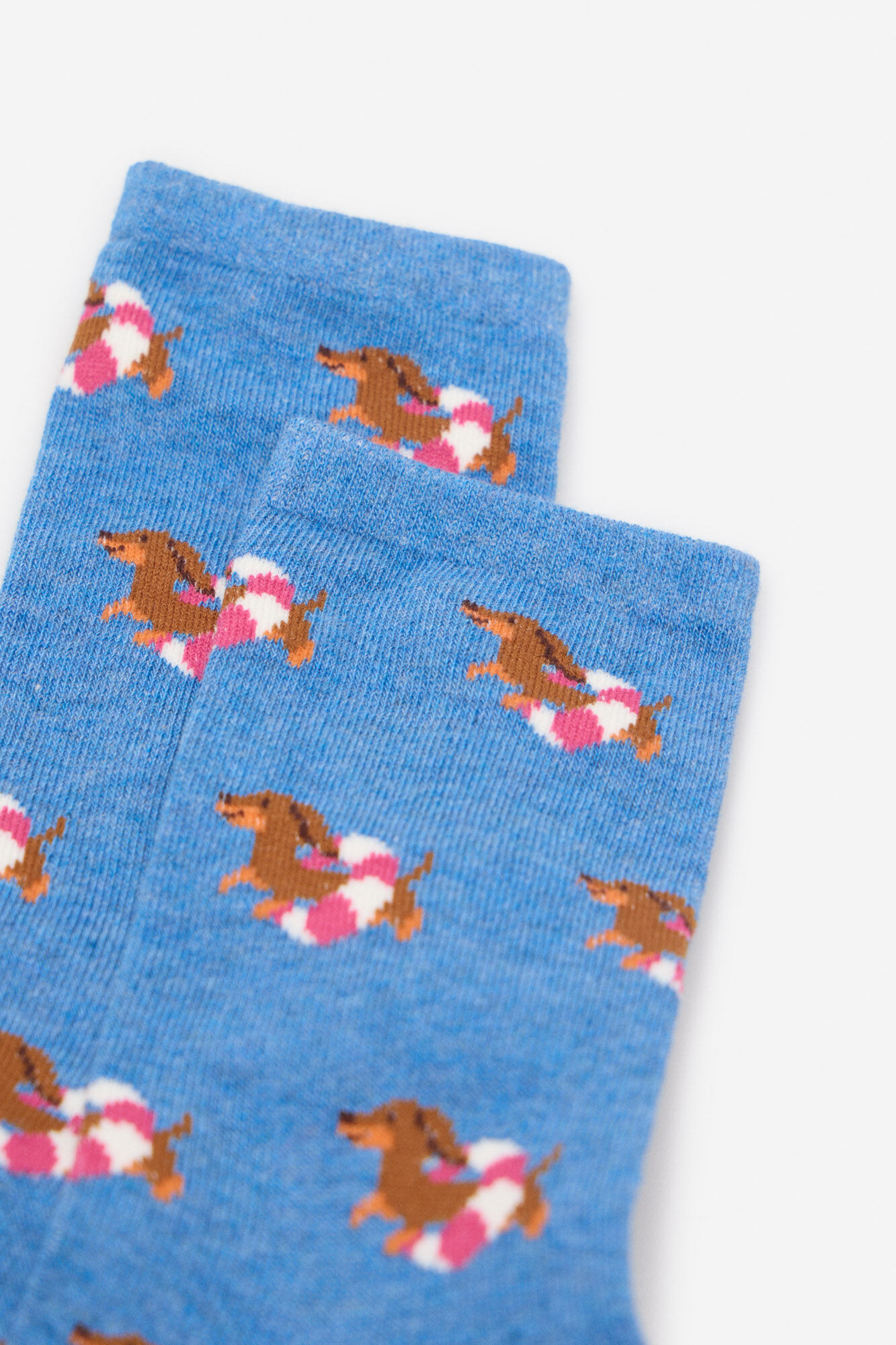 Cortefiel Dachshund flutua meia longa