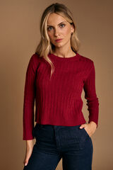 Pol&iacute;n Et Moi Top de manga manga Jasse Granada