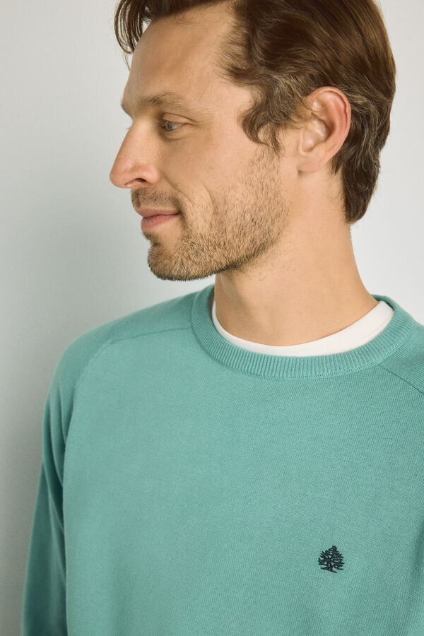 Springfield Camisola gola caixa Verde