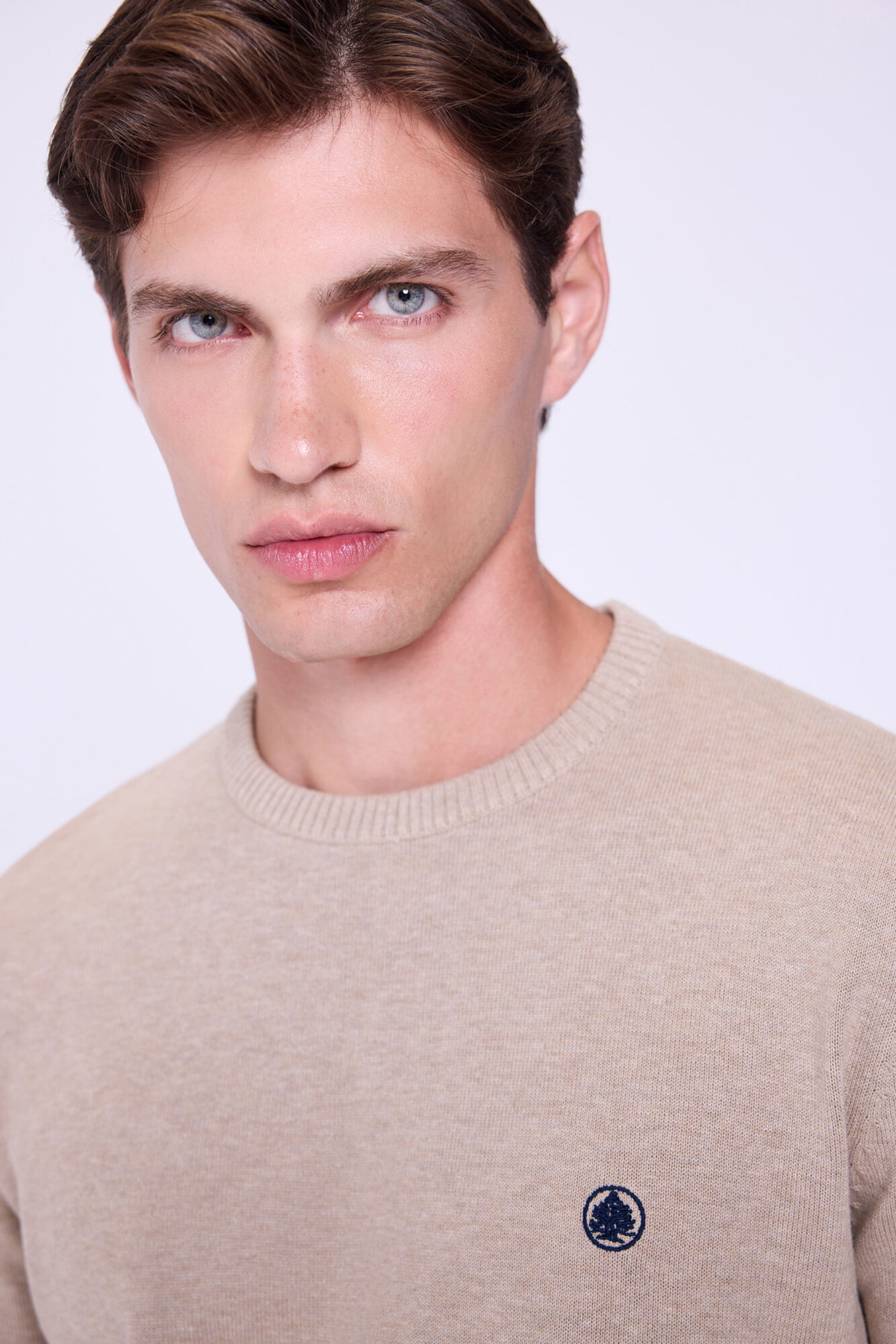 Springfield Camisola b&aacute;sico de gola redonda