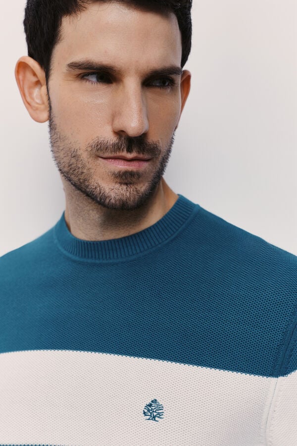 Springfield Jersey cuello caja Azul