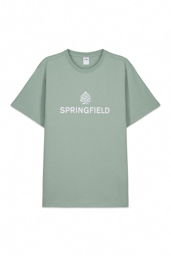 Springfield T-shirt de manga curta Verde