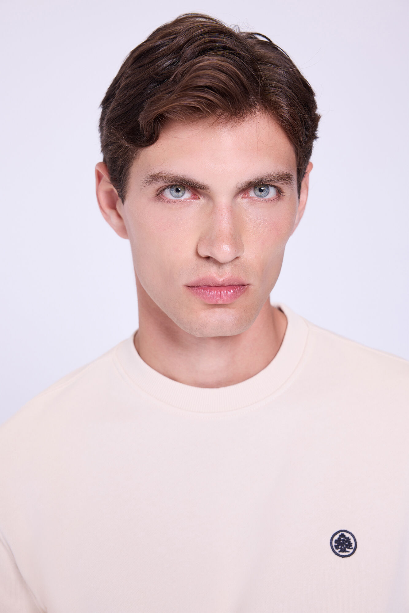 Springfield Sudadera Logo Cuello Caja