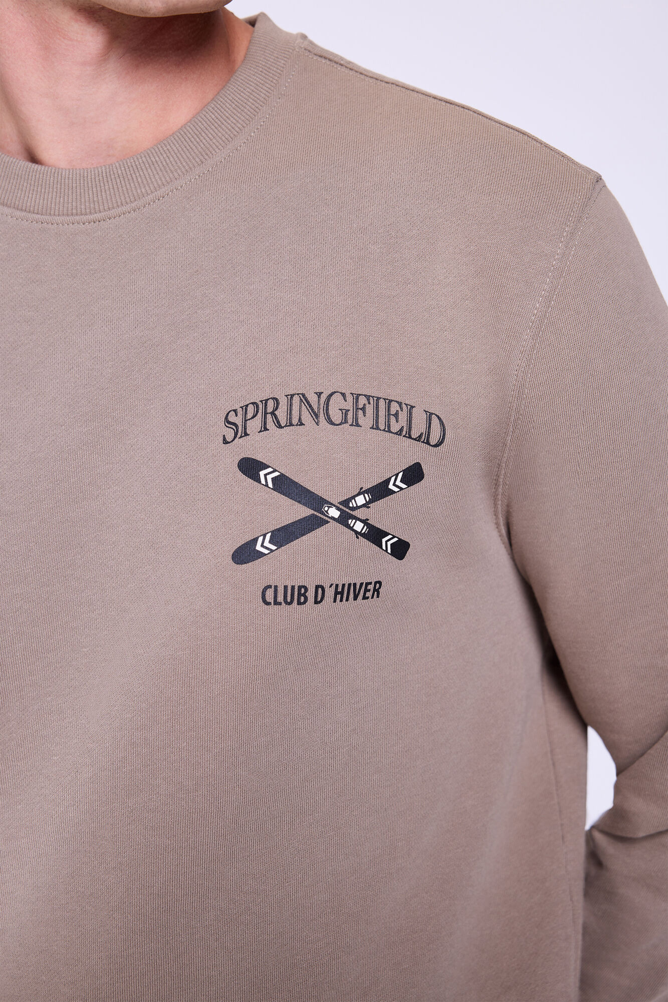 Springfield Sudadera Logo Cuello Caja