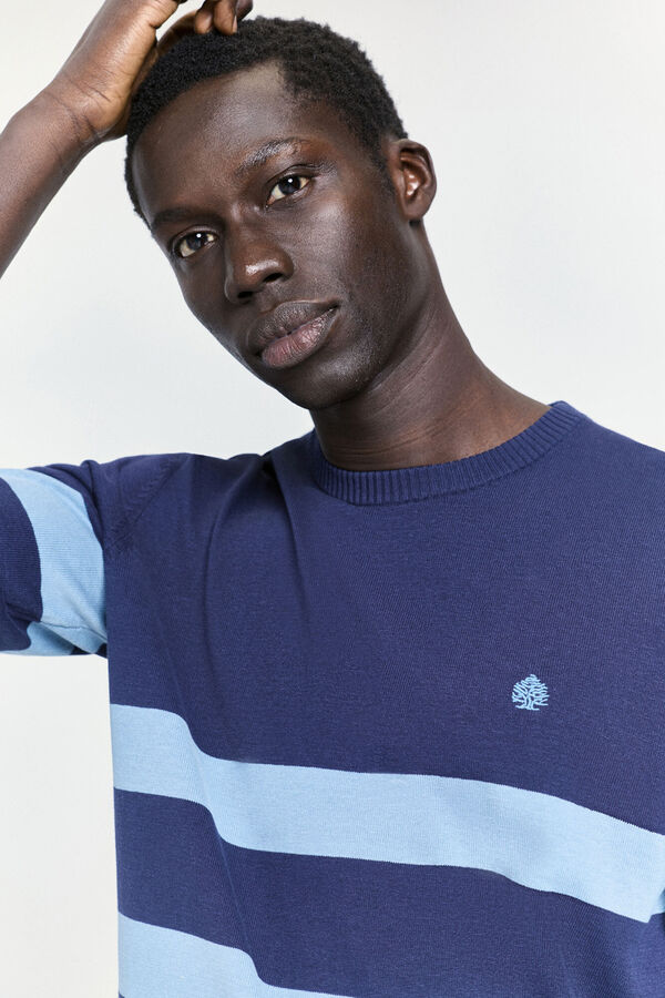 Springfield Jersey rayas fantas&iacute;a Navy