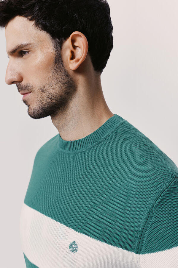 Springfield Jersey cuello caja Verde