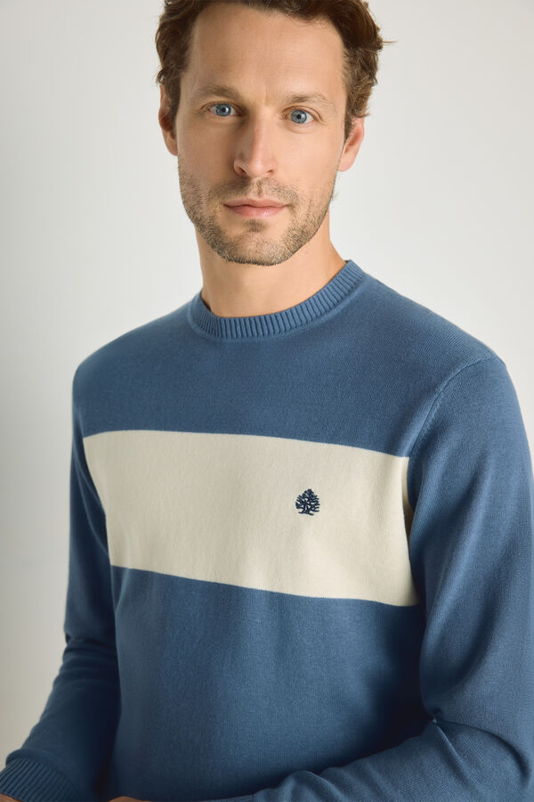 Springfield Jersey cuello caja Azul