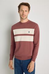 Springfield Jersey cuello caja Vino