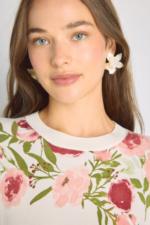 Milano Camisola estampada gola redonda Bege