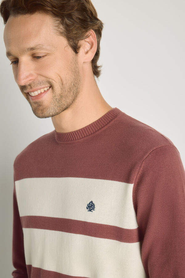 Springfield Jersey cuello caja Vino