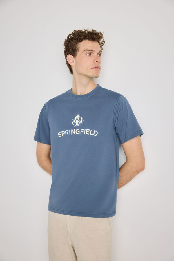 Springfield T-shirt de manga curta Azul claro