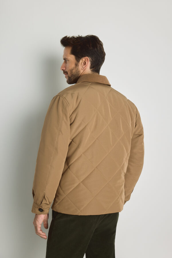 Milano Casaco acolchoado Camel
