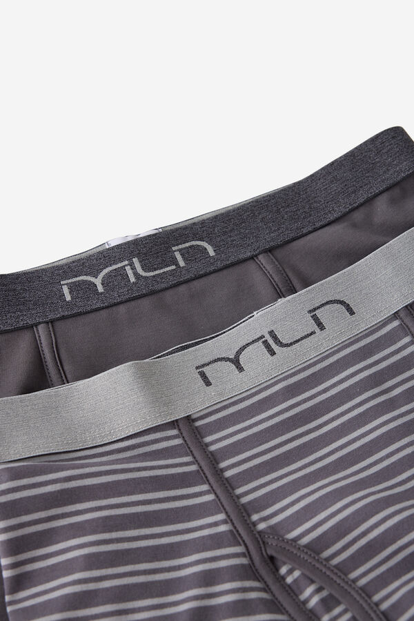 Milano Boxer Minirayas Marengo