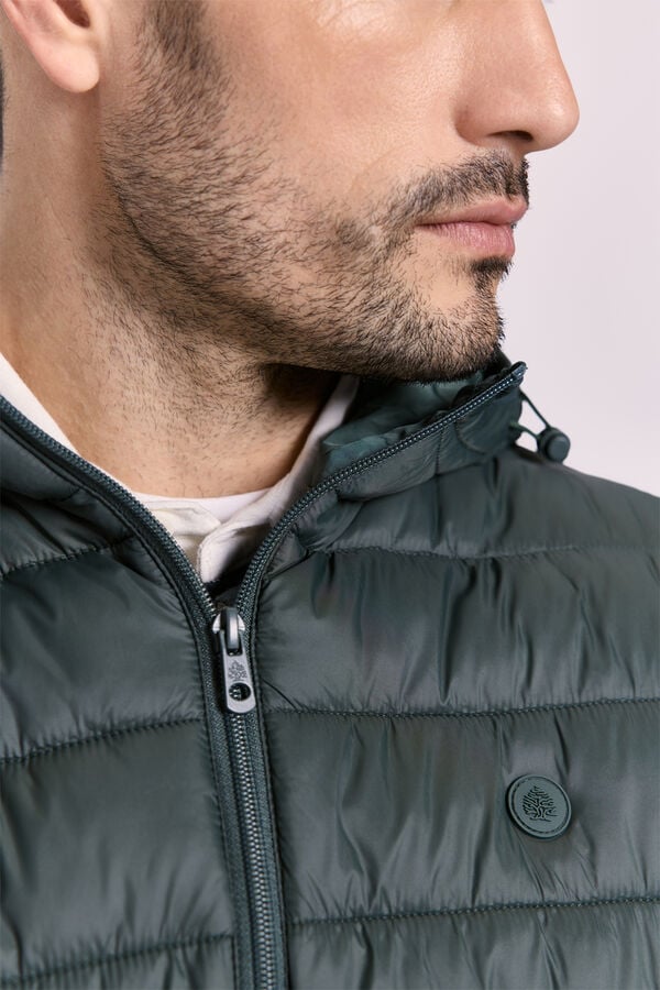 Springfield Chaqueta hoodie acolchada Kaki Oscuro