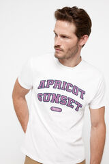 milano Camisola manga curta confecionada em 100% algod&atilde;o. Estampado posicional no peito Azul