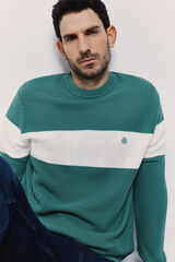 Springfield Jersey cuello caja Verde