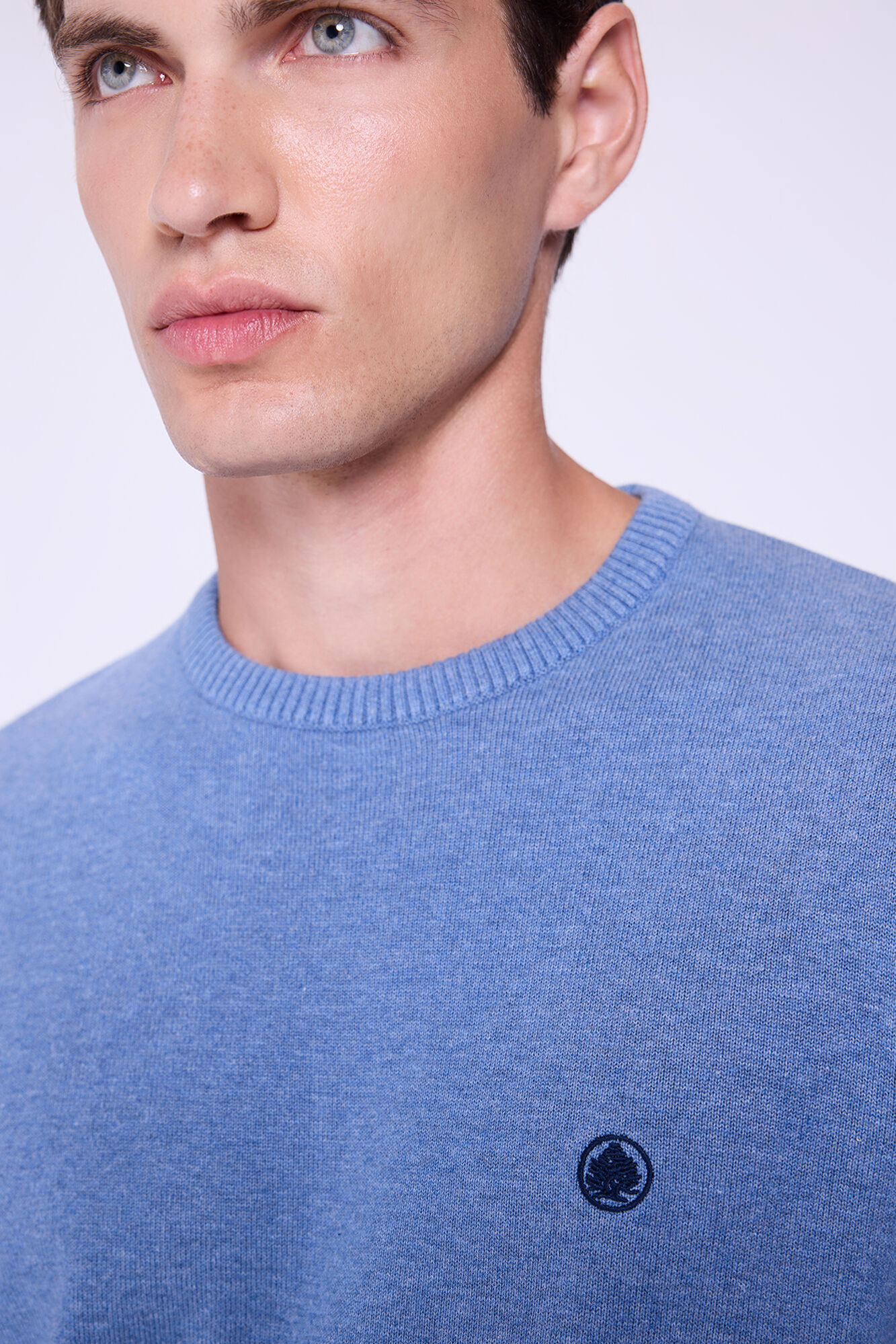 Springfield Camisola b&aacute;sico de gola redonda