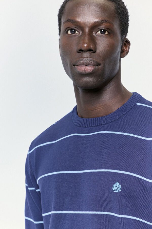 Springfield Jersey rayas fantas&iacute;a Azul