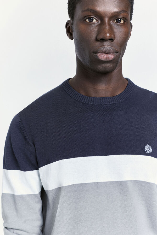 Springfield Jersey fantas&iacute;a cuello caja Cinza claro