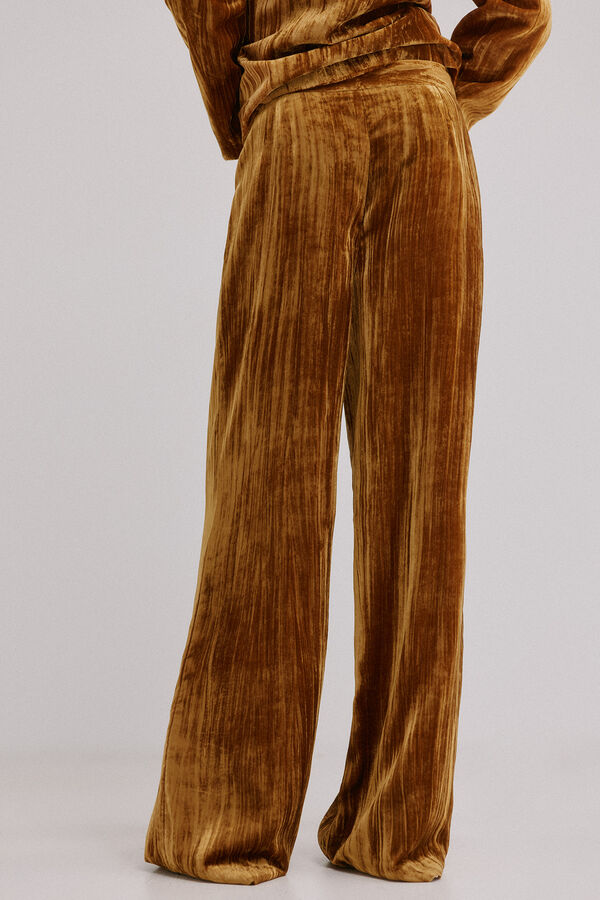 Hoss Intropia Paige. Cal&ccedil;a veludo Dourado