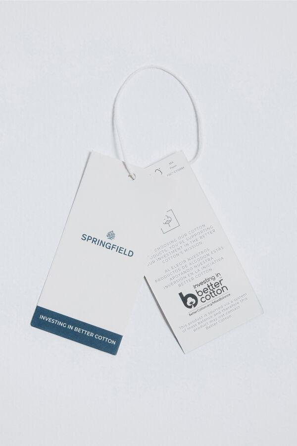 Springfield Camisa de popelina riscas verde