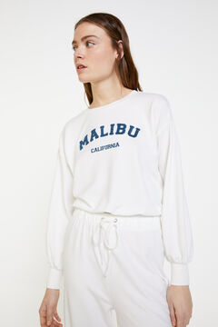 Springfield Sweatshirt "Malibu" castanho