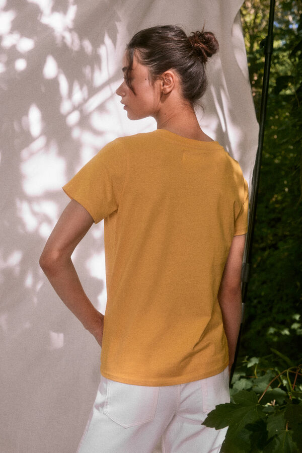 Springfield T-shirt gr&aacute;fico burro "Roots Studio" estampado