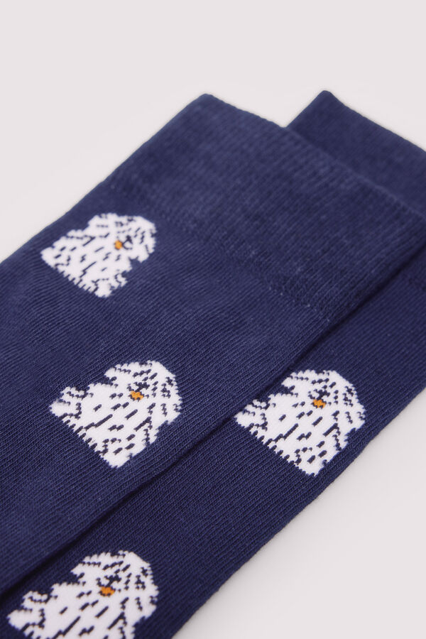 Springfield Calcet&iacute;n perro oveja azul