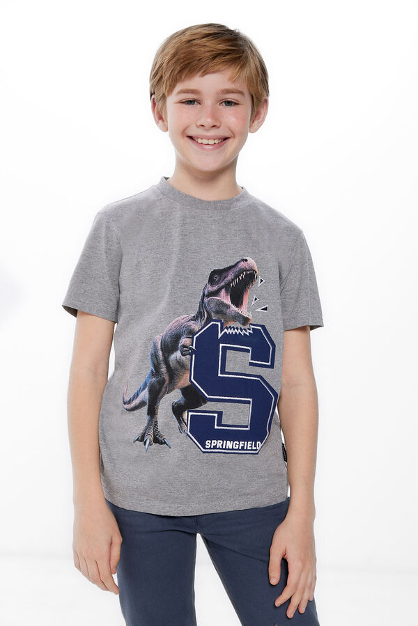 Springfield Kids Camiseta print dinosaurio ni&ntilde;o gris
