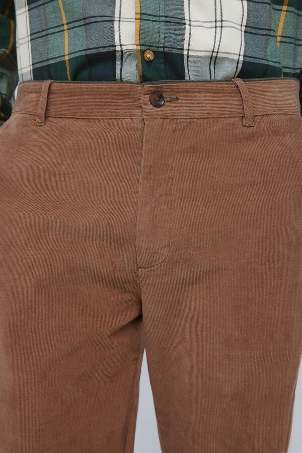 Springfield Cal&ccedil;as chino slim fit de veludo cotel&ecirc; micro castanho