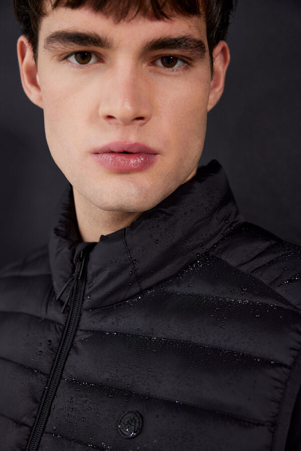 Springfield Colete acolchoado preto