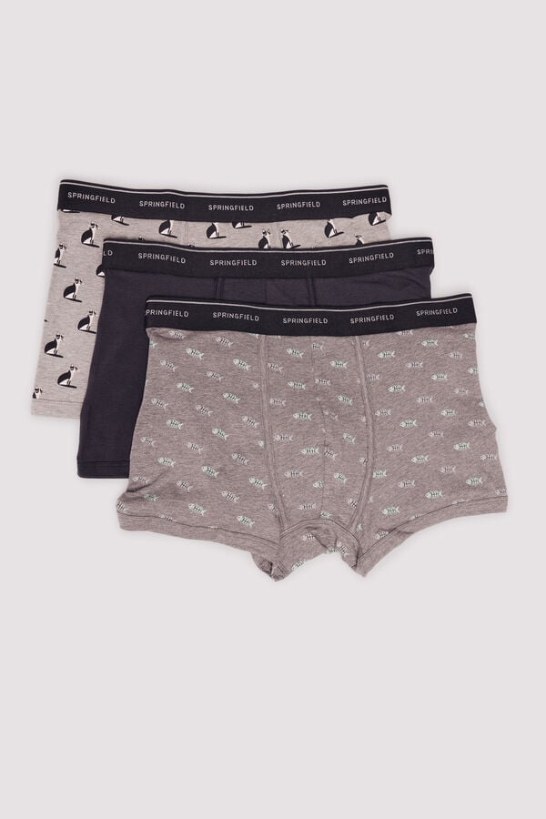Springfield Pacote com 3 boxers para gatos e peixes cinzento
